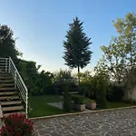 35 Tirana