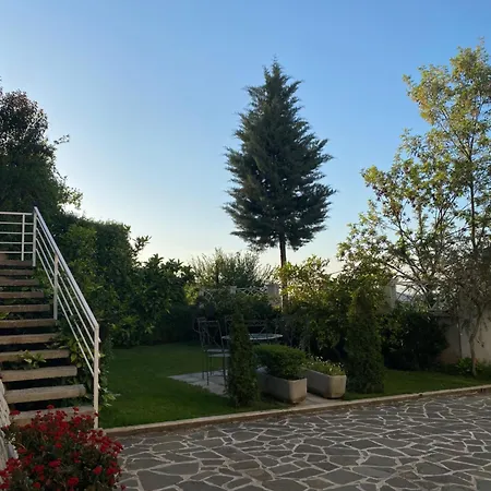 35 Tirana