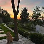 Apartament 35 *