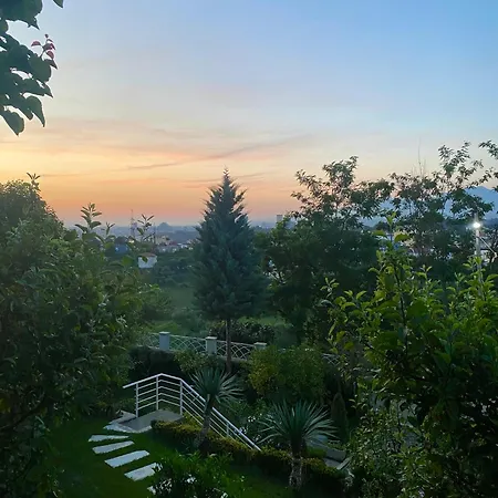 35 Apartman *