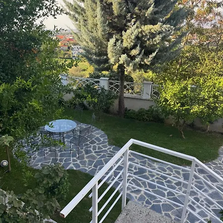 35 Tirana